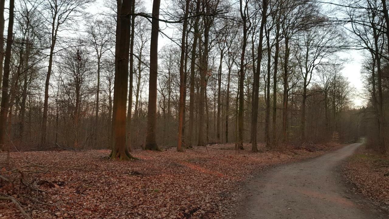 Apartmán Moin, Moin & Ahoi! Kiel Exteriér fotografie